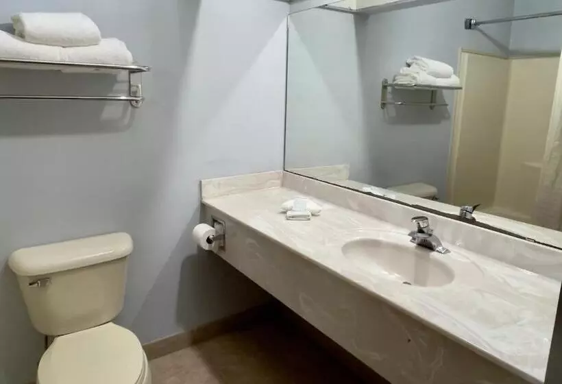 キングサイズベッドのスタンダードルーム, Quality Inn & Suites Kilgore Longview