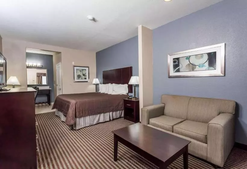 キングサイズベッドのスタンダードルーム, Atria Inn & Suites