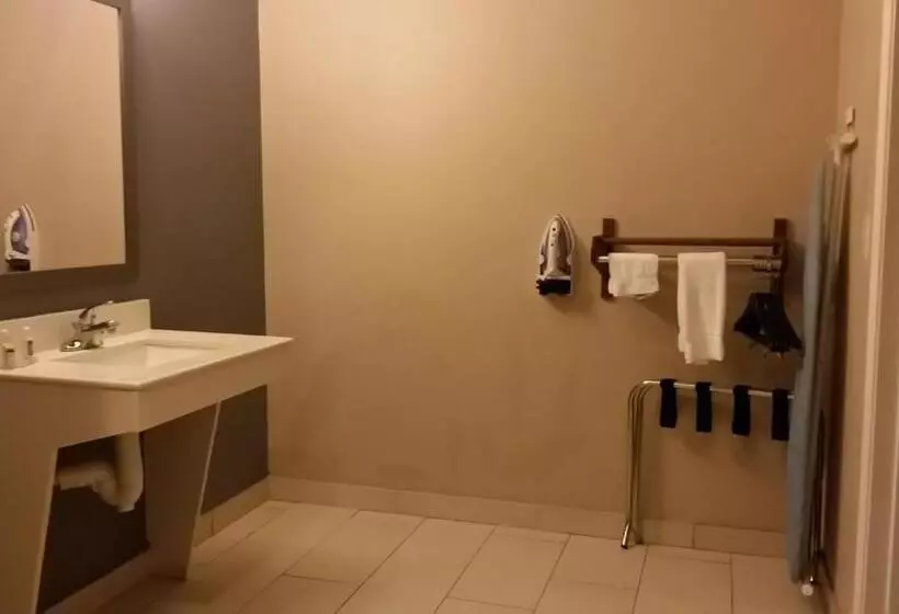 障害者適応デラックスルーム, Atria Inn & Suites