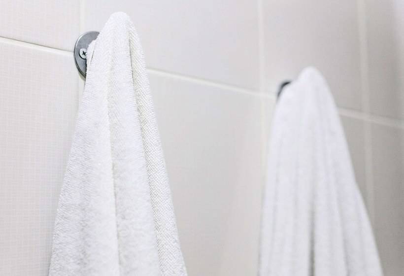 غرفه قياسيه سريرين مزدوجين, Best Western Halito Inn