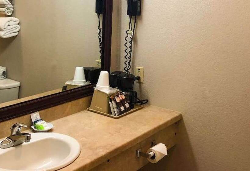 Номер Стандарт 2 Двуспальные Кровати, Best Western Halito Inn