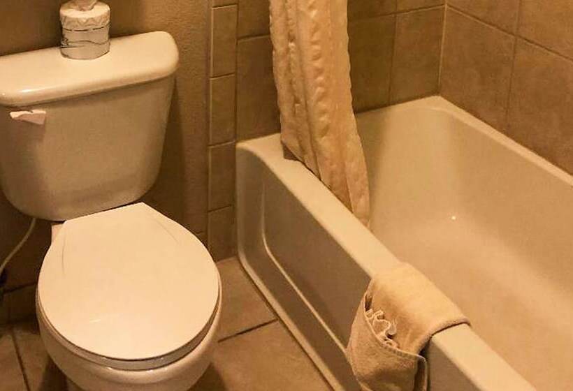 غرفه قياسيه سريرين مزدوجين, Best Western Halito Inn