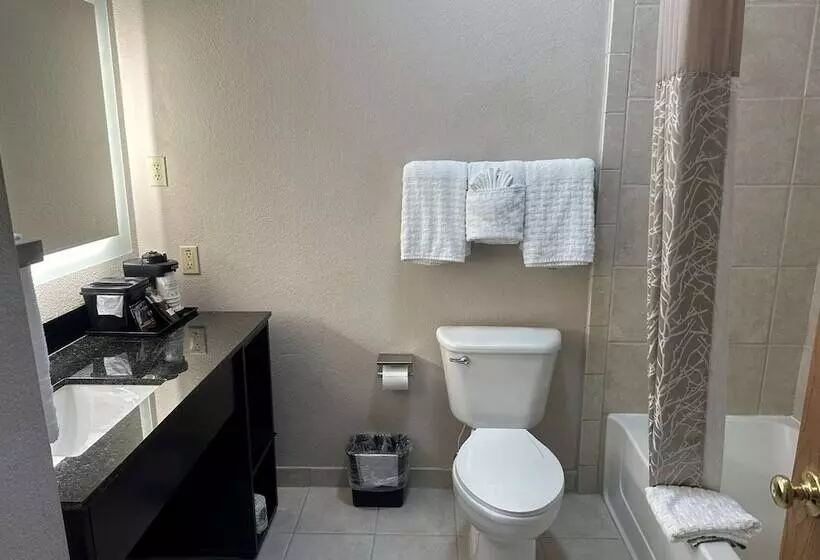 2ダブルベッドのスタンダードルーム, Best Western Halito Inn
