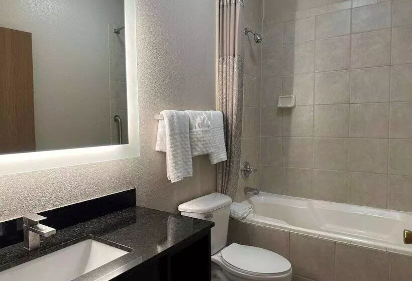 2ダブルベッドのスタンダードルーム, Best Western Halito Inn