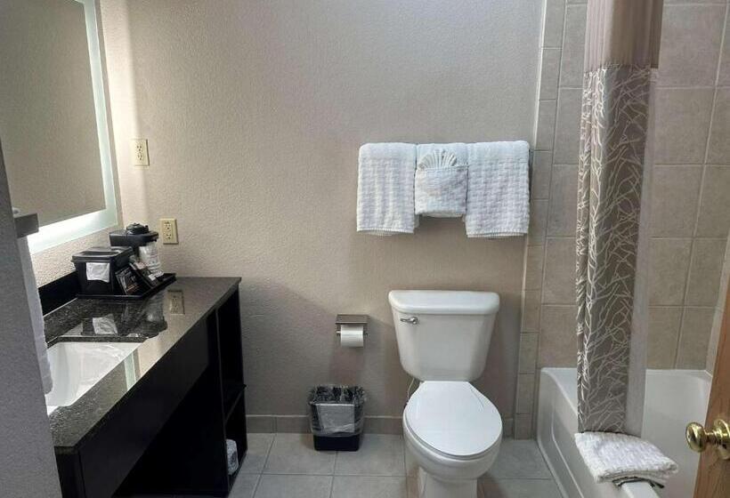 Номер Стандарт 2 Двуспальные Кровати, Best Western Halito Inn