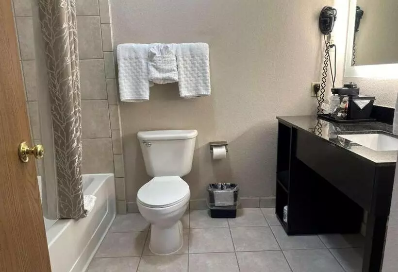 身障者適用キングサイズベッドルーム, Best Western Halito Inn