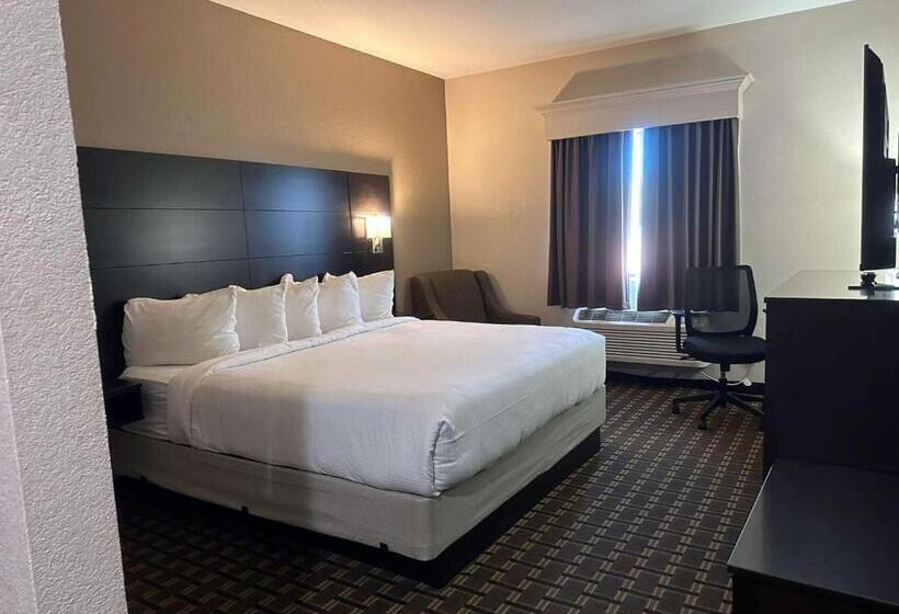 غرفة قياسية سرير كينج لذوى الإحتياجات الخاصة, Best Western Halito Inn