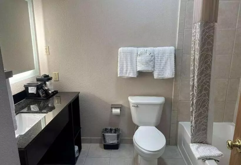 キングサイズベッドのスタンダードルーム, Best Western Halito Inn