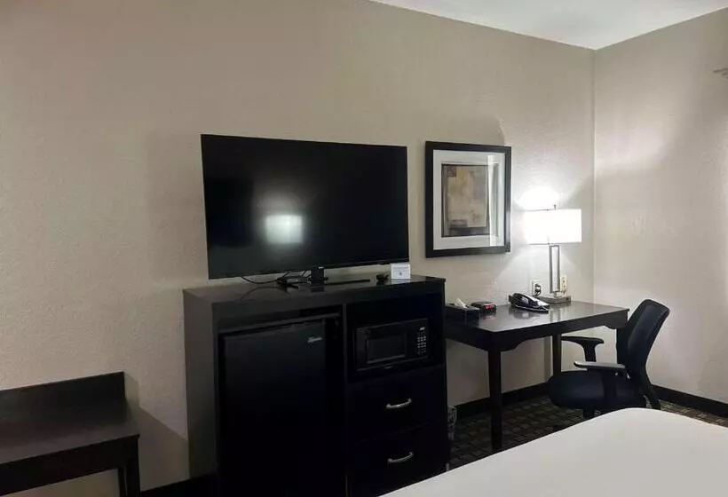キングサイズベッドのスタンダードルーム, Best Western Halito Inn