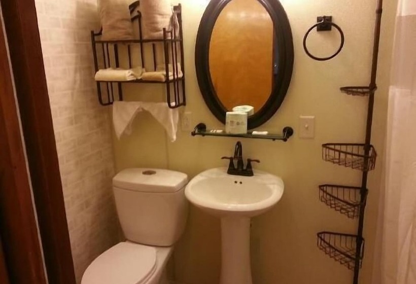 غرفه قياسيه سريرين مزدوجين, Cool Springs Inn