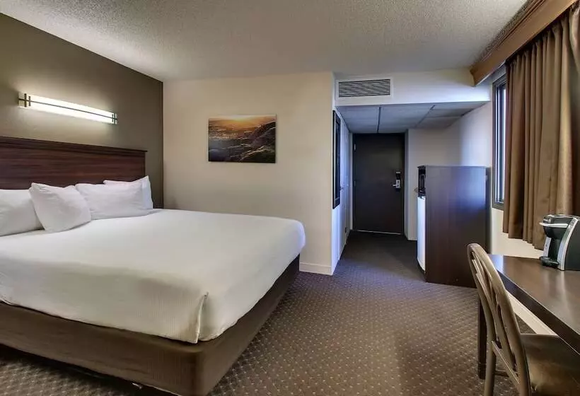 اتاق استاندارد با تخت بزرگ برای معلولان, Everspring Inn