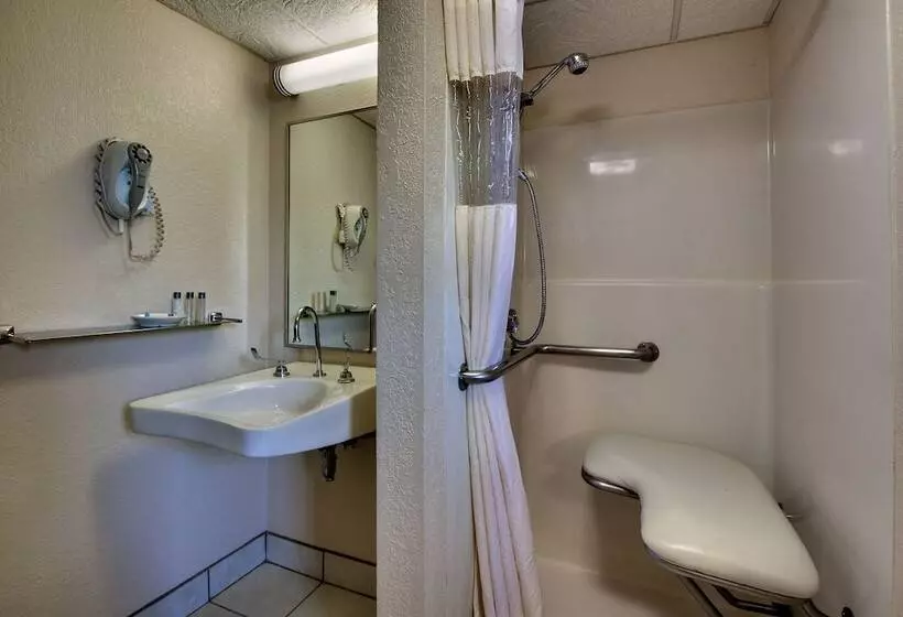اتاق استاندارد با تخت بزرگ برای معلولان, Everspring Inn
