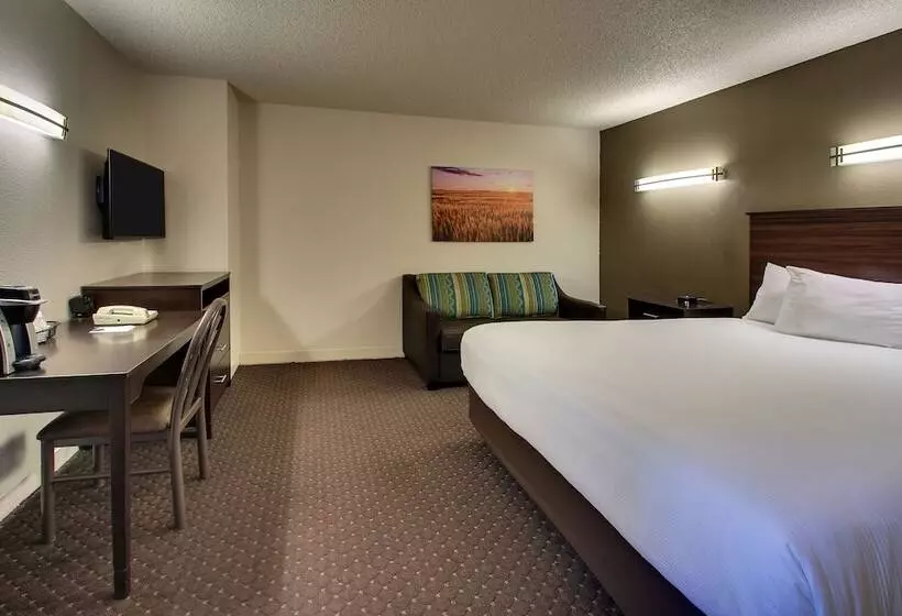 اتاق استاندارد با تخت بزرگ برای معلولان, Everspring Inn