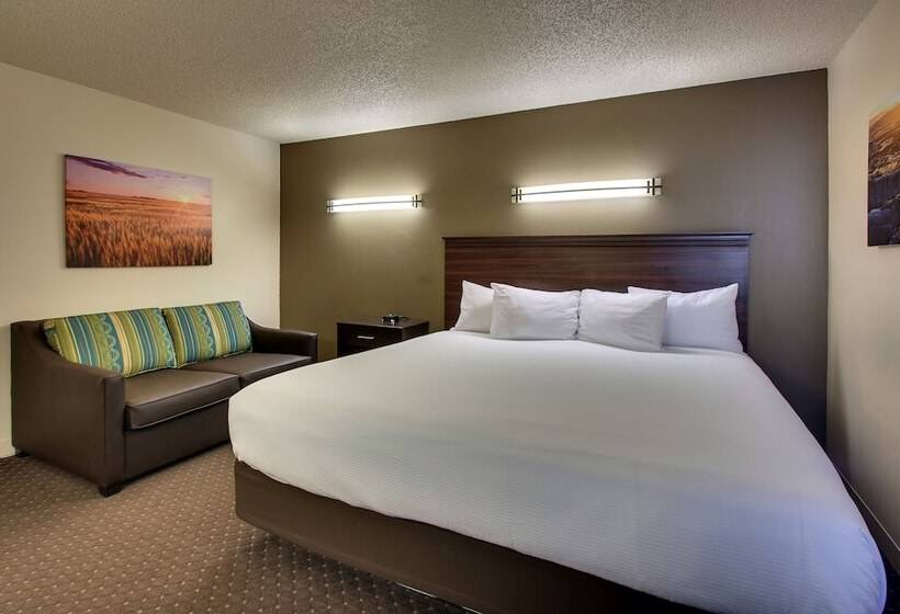 장애인을 위한 킹사이즈 침대 스탠다드 룸, Everspring Inn