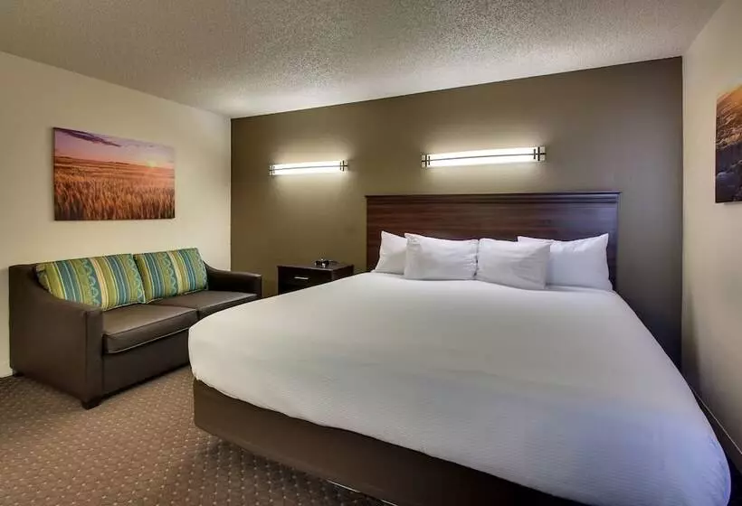 اتاق استاندارد با تخت بزرگ برای معلولان, Everspring Inn