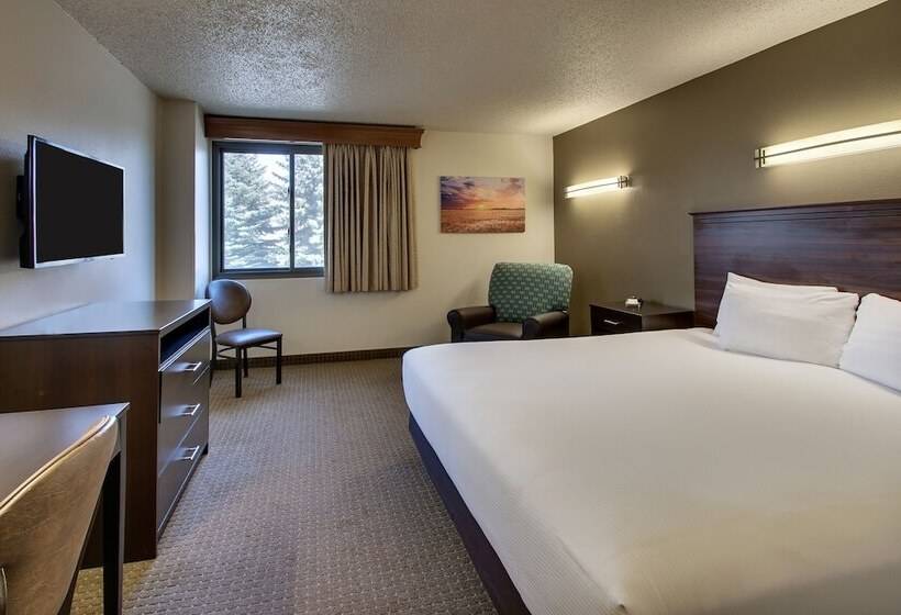 디럭스 룸, Everspring Inn