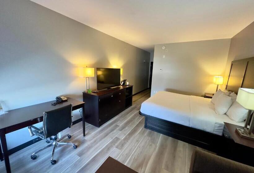 غرفة ديلوكس سرير كينج, La Quinta By Wyndham Gonzales La