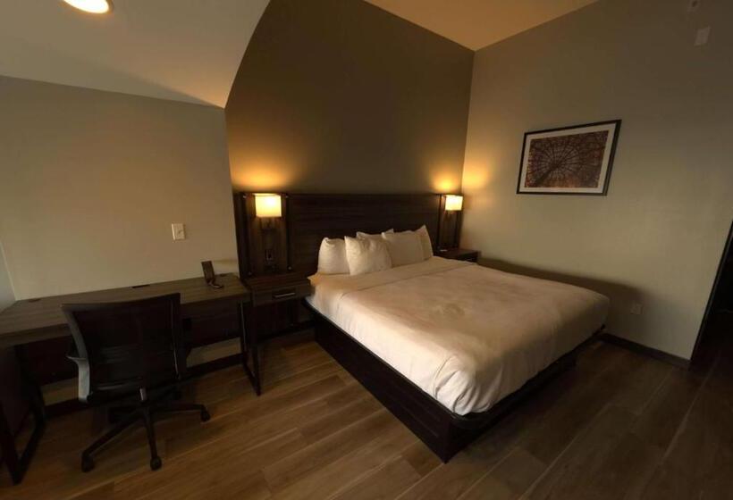 חדר דחוקס עם מיטת קינג, La Quinta By Wyndham Gonzales La