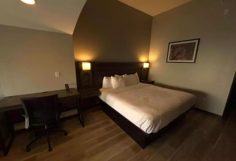 キングサイズベッドのデラックスルーム, La Quinta By Wyndham Gonzales La