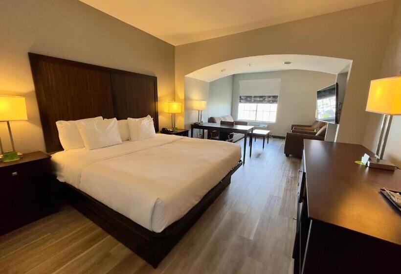 غرفة إدارية سرير كينج, La Quinta By Wyndham Gonzales La