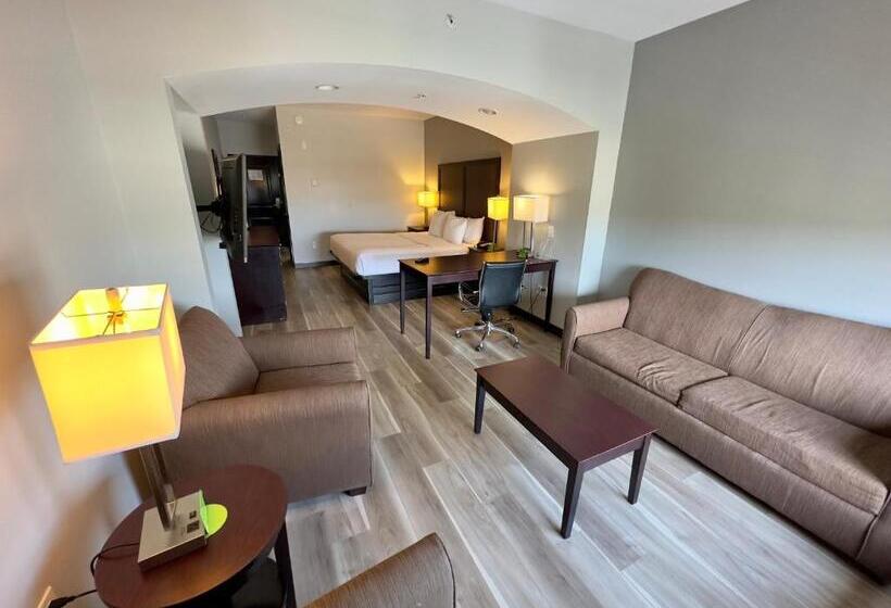 חדר אקזקיוטיב חדר קינג, La Quinta By Wyndham Gonzales La