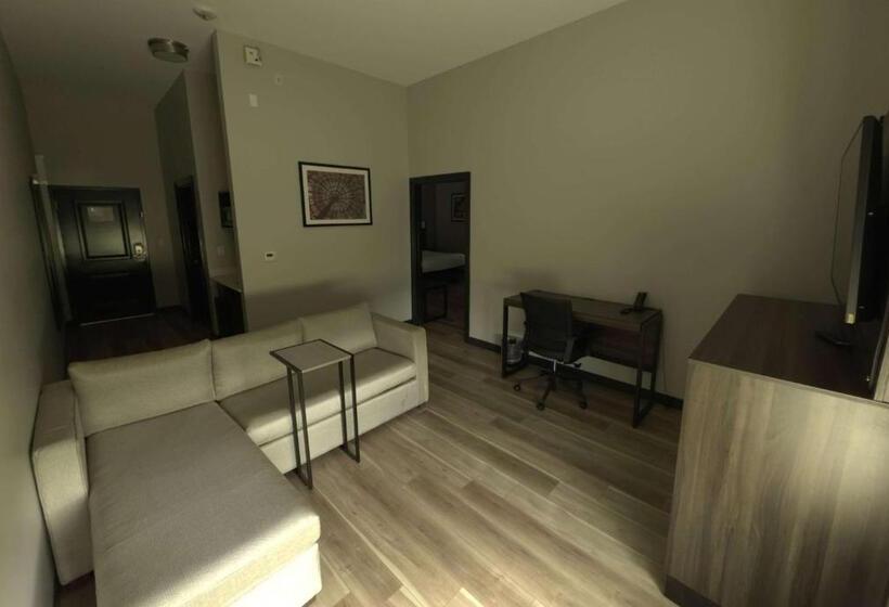 جناح رئاسى, La Quinta By Wyndham Gonzales La