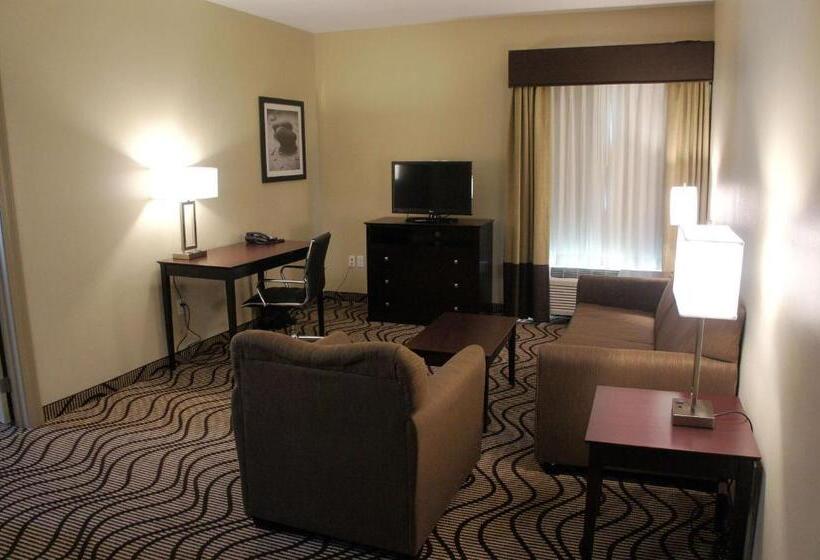 جناح رئاسى, La Quinta By Wyndham Gonzales La