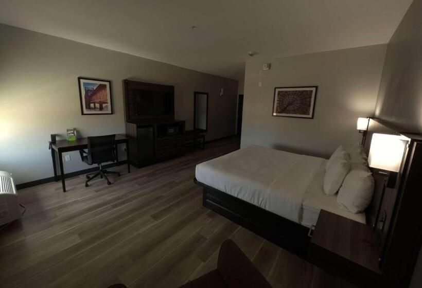 غرفة ديلوكس لذوى الاحتياجات الخاصة, La Quinta By Wyndham Gonzales La