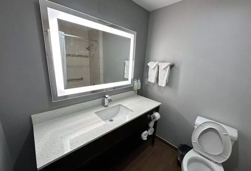 デラックスルーム, La Quinta By Wyndham Gonzales La