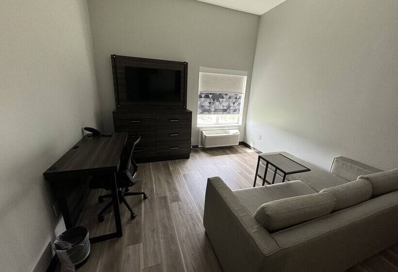 غرفة ديلوكس, La Quinta By Wyndham Gonzales La