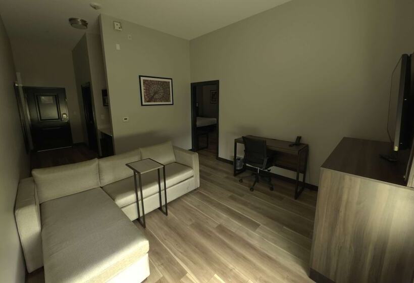 جناح رئاسى, La Quinta By Wyndham Gonzales La