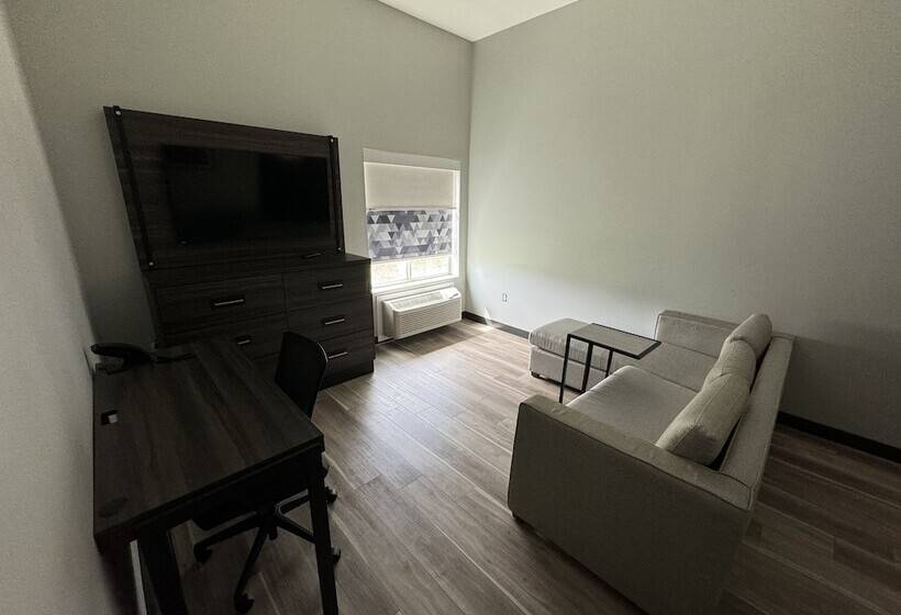 جناح رئاسى, La Quinta By Wyndham Gonzales La