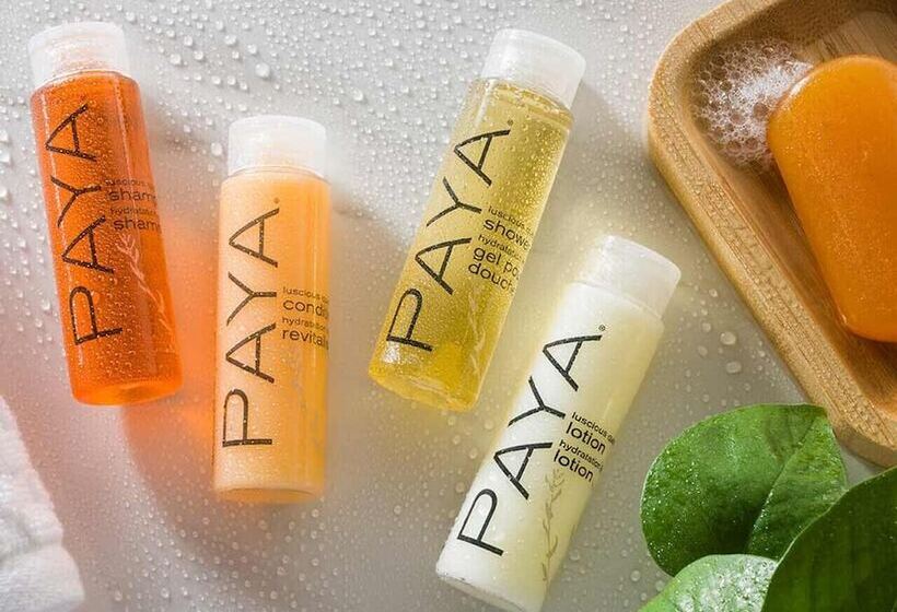 جناح عائلي, Timberland Inn & Suites