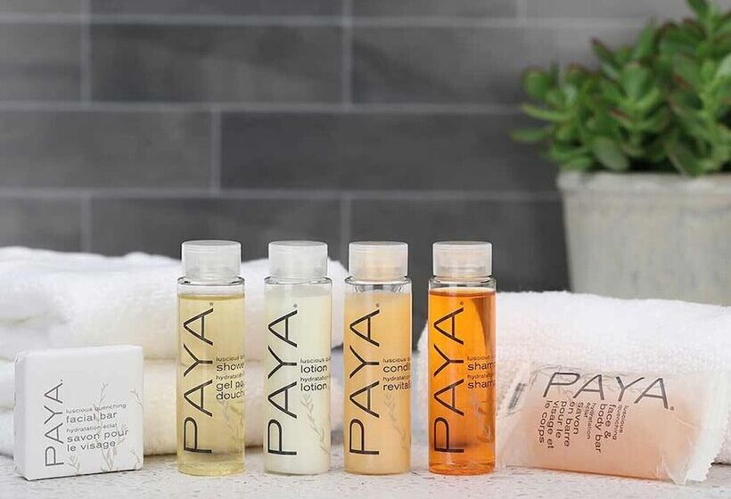 جناح عائلي, Timberland Inn & Suites