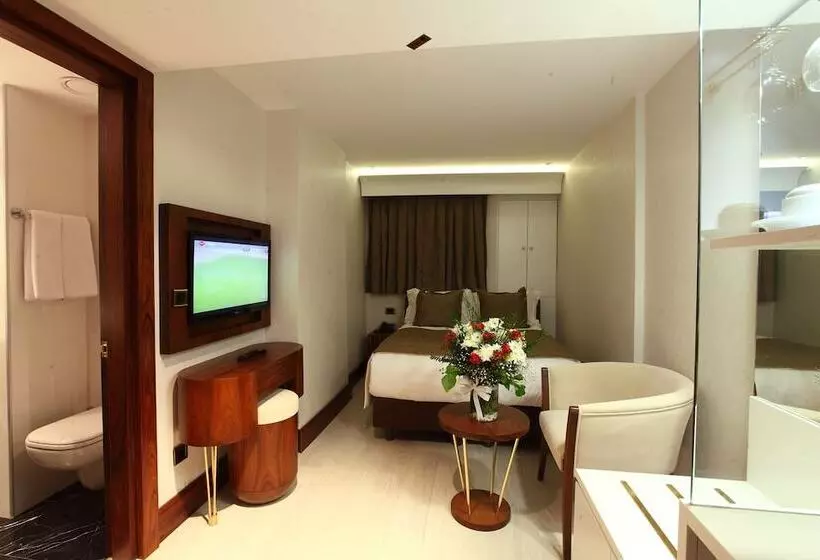 エコノミーシングルルーム, Victory Hotel & Spa Istanbul