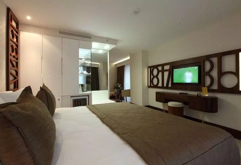 スタンダードシングルルーム, Victory Hotel & Spa Istanbul
