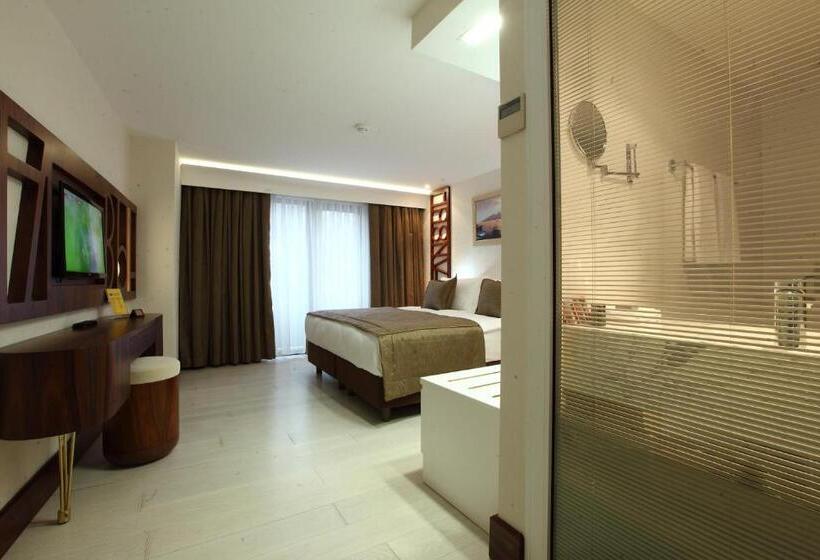 スタンダードルーム, Victory Hotel & Spa Istanbul