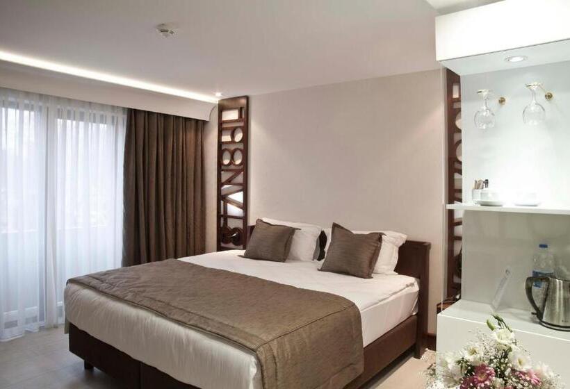 اتاق استاندارد, Victory Hotel & Spa Istanbul