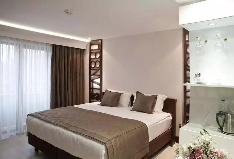 スタンダードルーム, Victory Hotel & Spa Istanbul