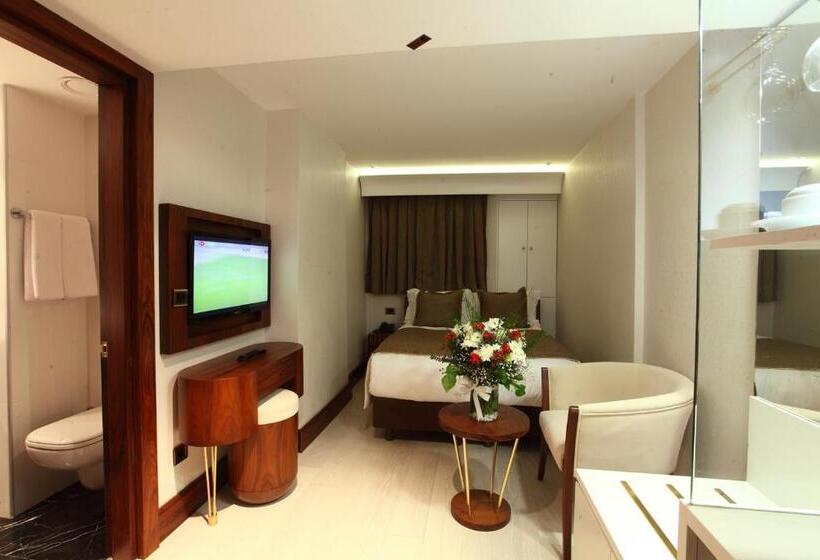 اتاق اکونومی یک تخته, Victory Hotel & Spa Istanbul
