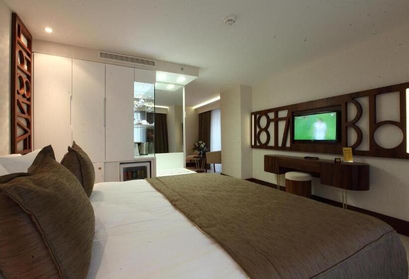 اتاق استاندارد یک نفره, Victory Hotel & Spa Istanbul