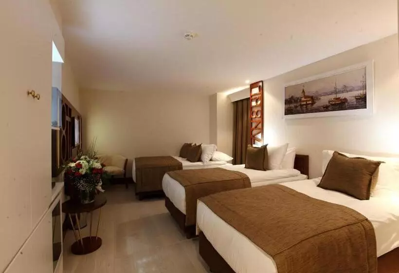 エコノミートリプルルーム, Victory Hotel & Spa Istanbul