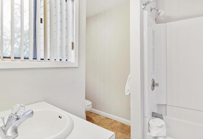 带1个卧室的公寓, The Surf Club