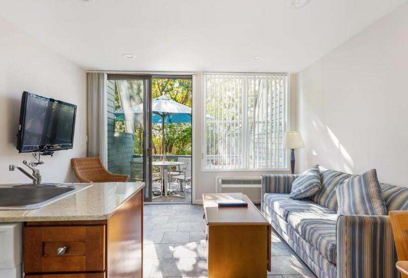 带1个卧室的公寓, The Surf Club