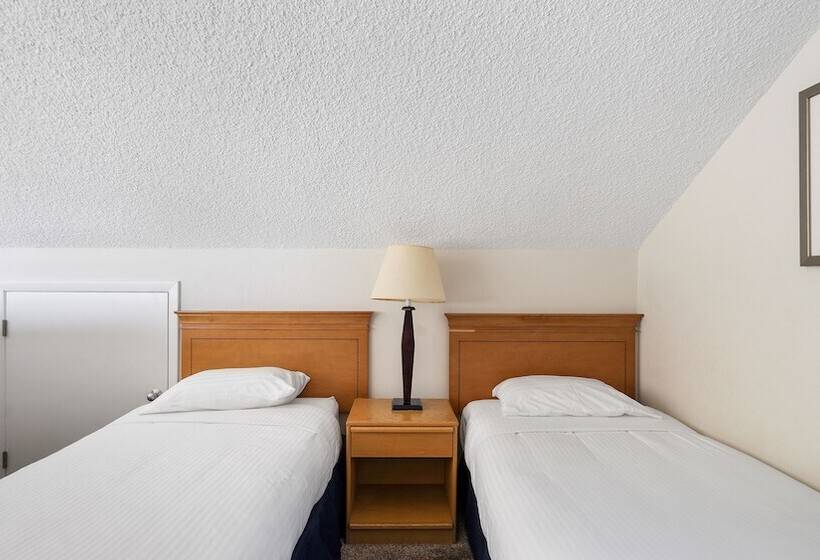 带1个卧室的公寓, The Surf Club