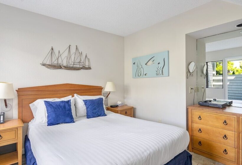 带1个卧室的公寓, The Surf Club