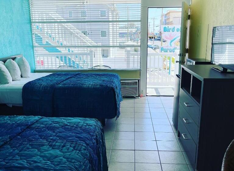 Номер Стандарт 2 Двуспальные Кровати, Bird Of Paradise Motel