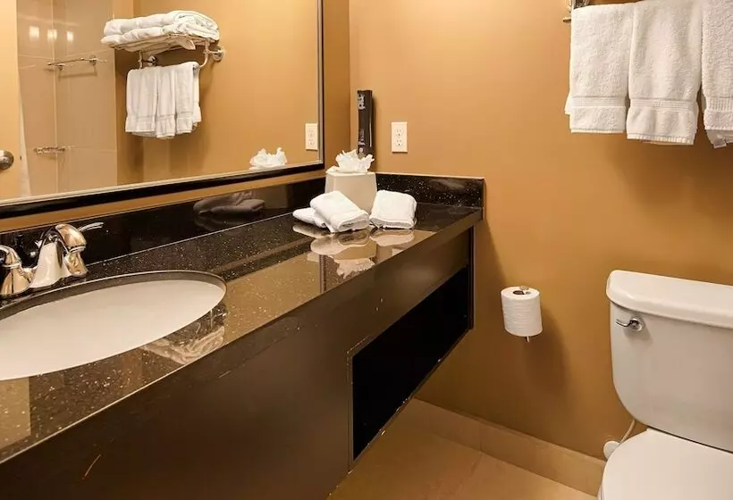 スイート, Best Western Plus Miami Airport North Hotel & Suites