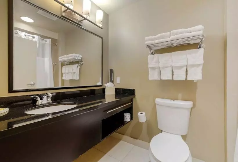 スイート, Best Western Plus Miami Airport North Hotel & Suites