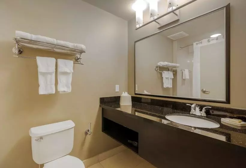 スイート, Best Western Plus Miami Airport North Hotel & Suites